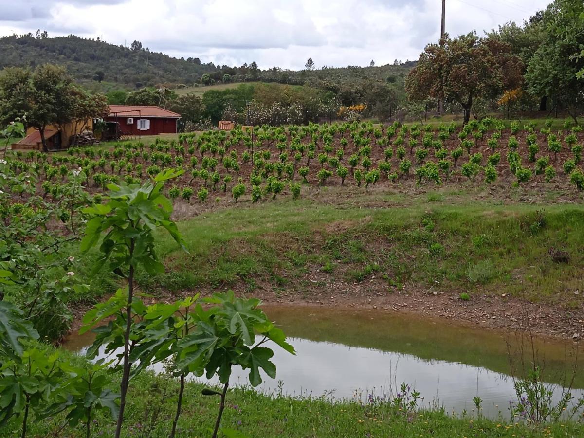 Casa Rural Camino Del Alentejo Βίλα La Codosera Εξωτερικό φωτογραφία