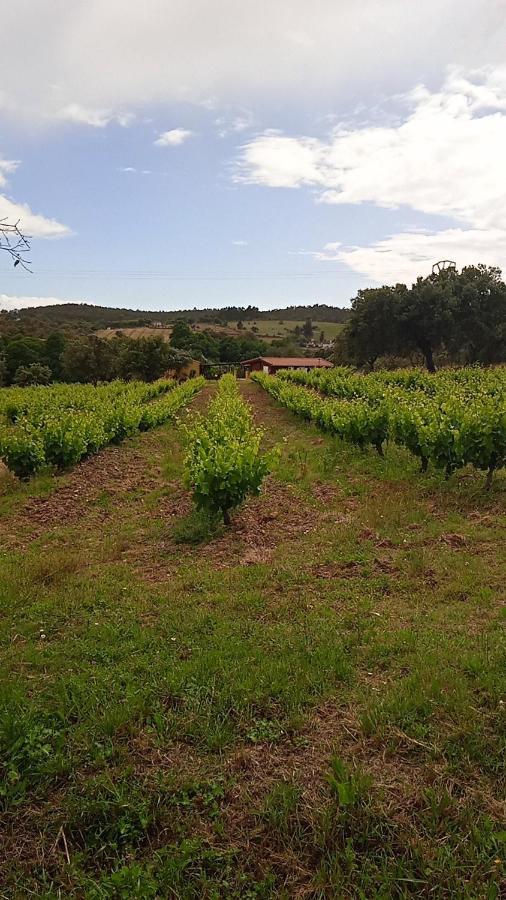 Casa Rural Camino Del Alentejo Βίλα La Codosera Εξωτερικό φωτογραφία
