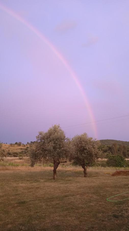 Casa Rural Camino Del Alentejo Βίλα La Codosera Εξωτερικό φωτογραφία