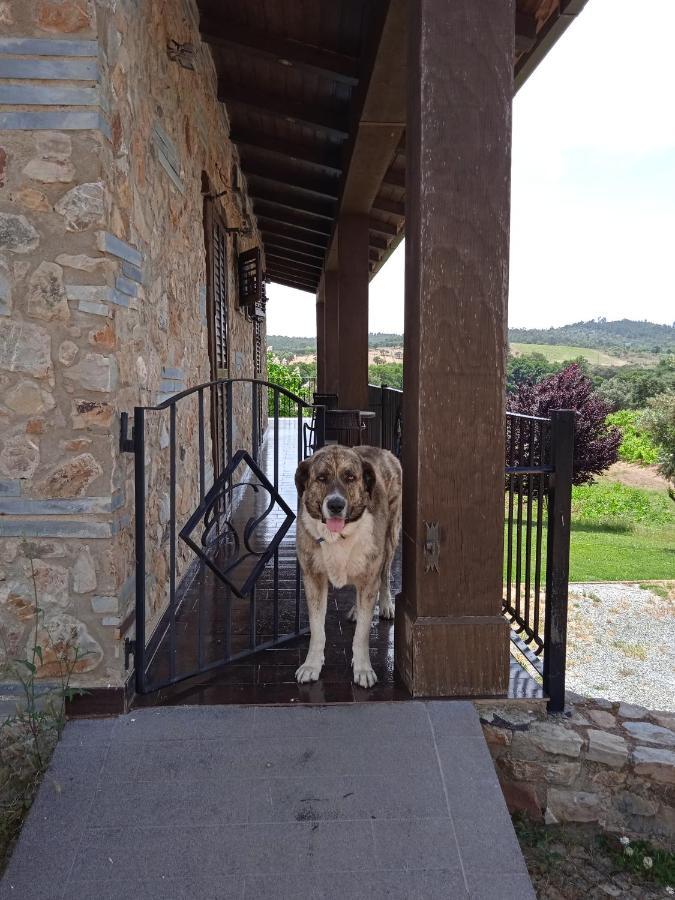 Casa Rural Camino Del Alentejo Βίλα La Codosera Εξωτερικό φωτογραφία