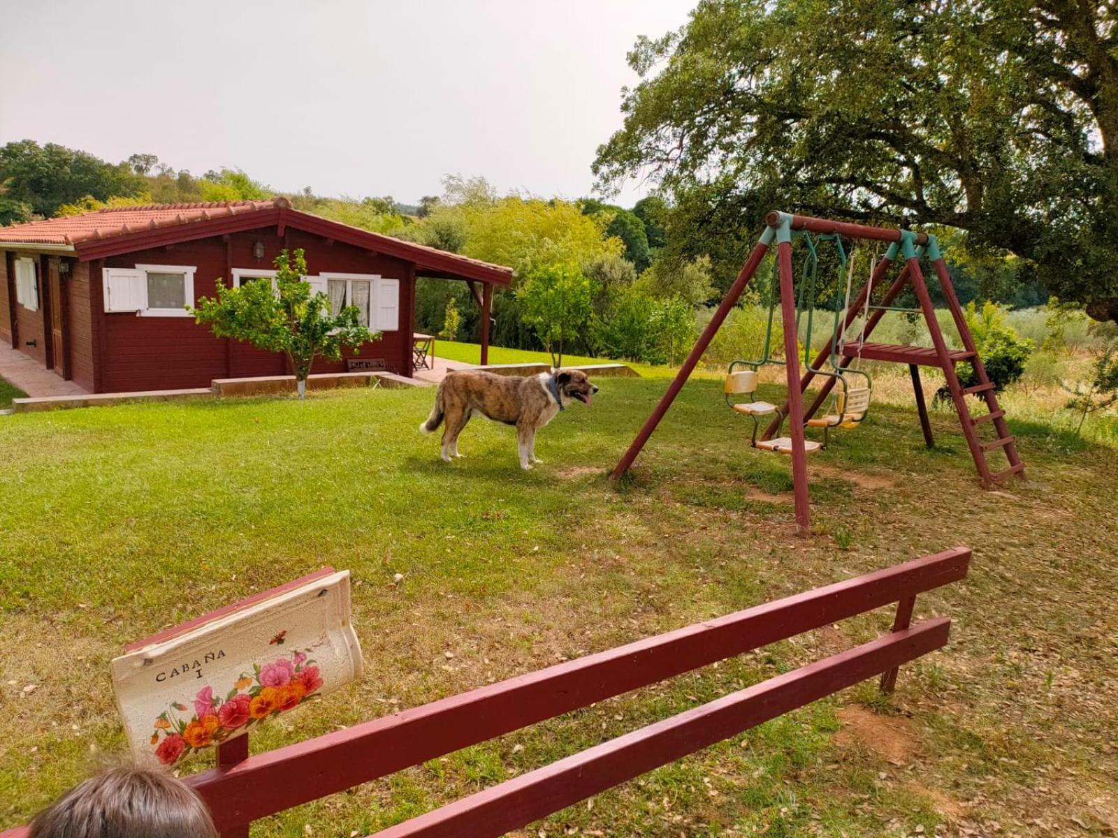 Casa Rural Camino Del Alentejo Βίλα La Codosera Δωμάτιο φωτογραφία