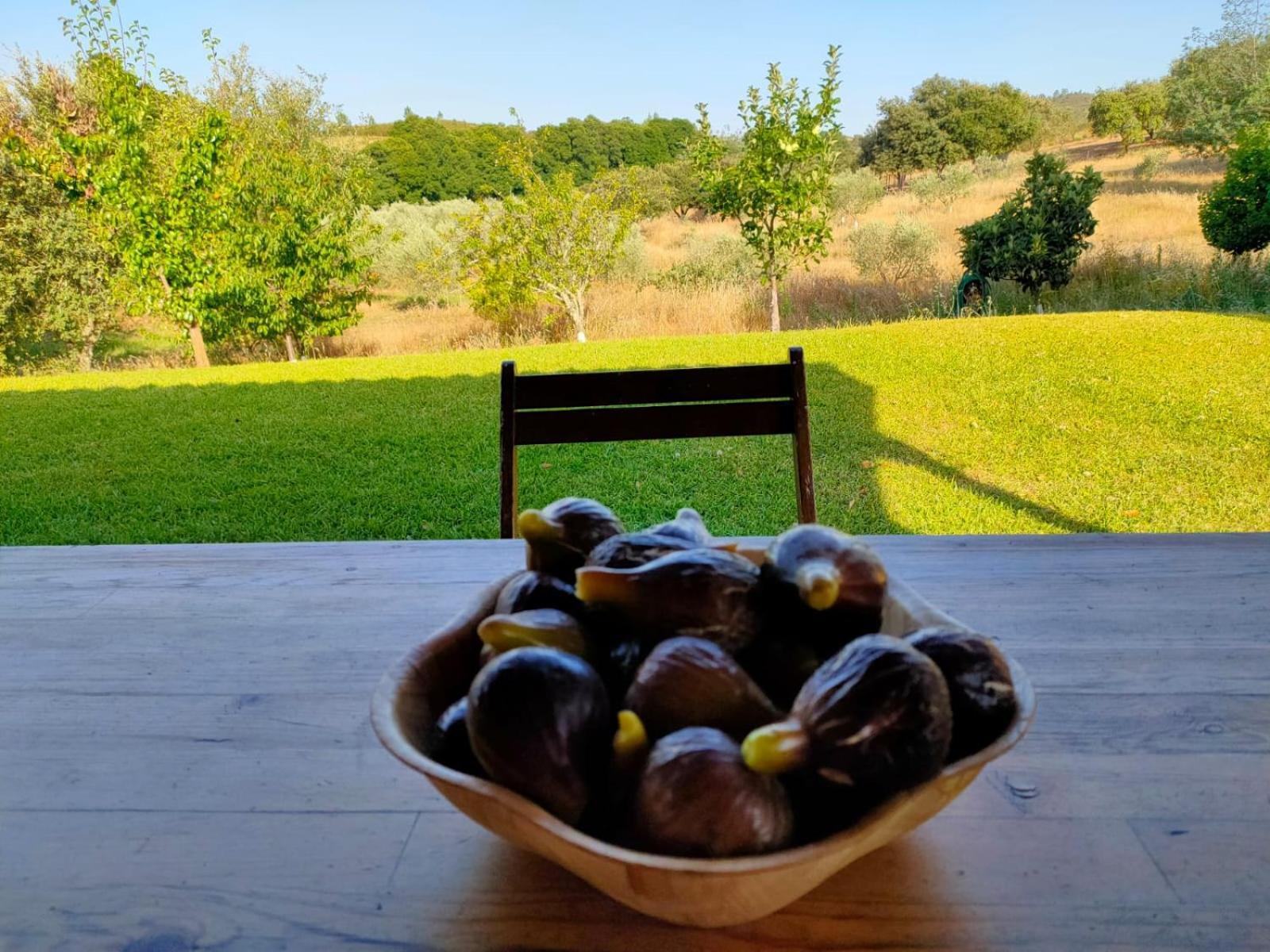 Casa Rural Camino Del Alentejo Βίλα La Codosera Δωμάτιο φωτογραφία